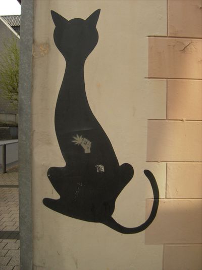 Schwarze Katze in Altena, Foto: Schwarze Katze, 06.04.11